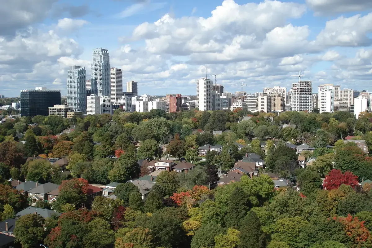 Leafy Davisville Village streets in autumn colour with the Yonge and Eglinton skyline beyond, Toronto