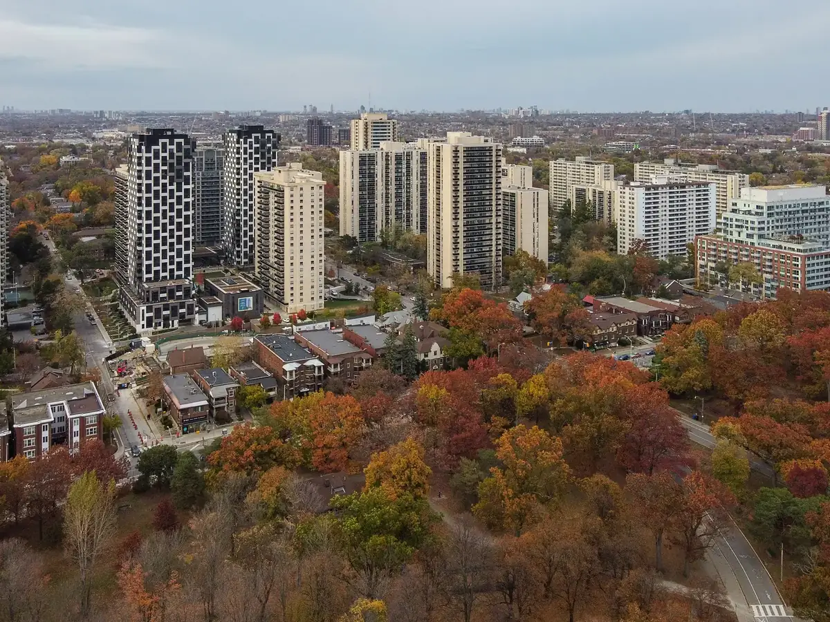 Aerial view of High Park North in autumn colour, with houses under the trees and apartment towers beyond, Toronto