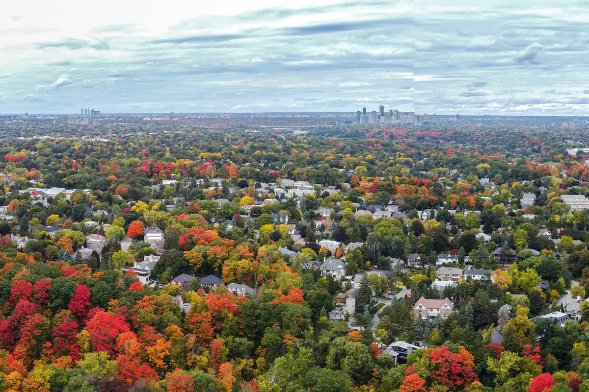 Aerial view of Lawrence Park’s tree-covered streets in autumn colour, Midtown Toronto