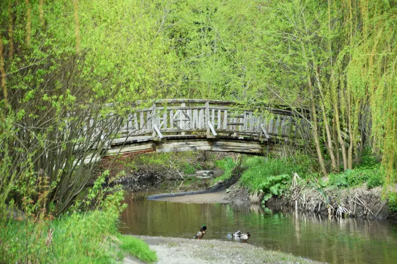 Wooden footbridge over the pond at Edwards Gardens, North York, Toronto