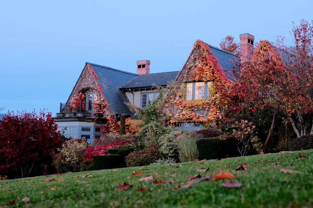 Tudor-style character house covered in red autumn ivy in Point Grey