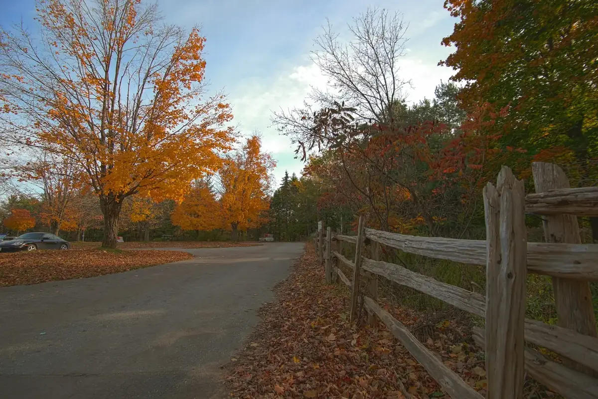 Autumn road through the Kortright Centre for Conservation in Vaughan