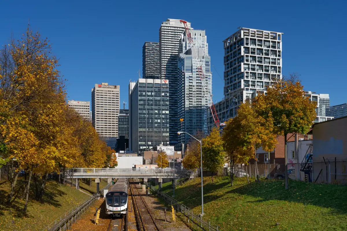 Autumn trees along the subway cut with the Yonge and Eglinton towers behind, Midtown Toronto