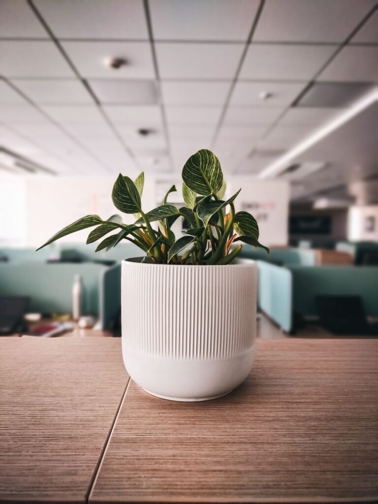 Modern Office with Green Ceiling